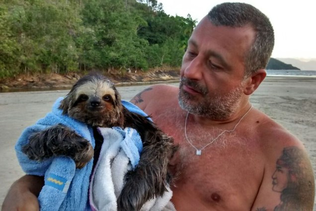 Renato kitesurfista resgata um bicho preguiça encontrado no mar em Ubatuba, na praia de Tabatinga.
