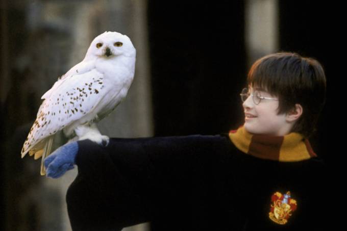 Harry Potter e Edwiges