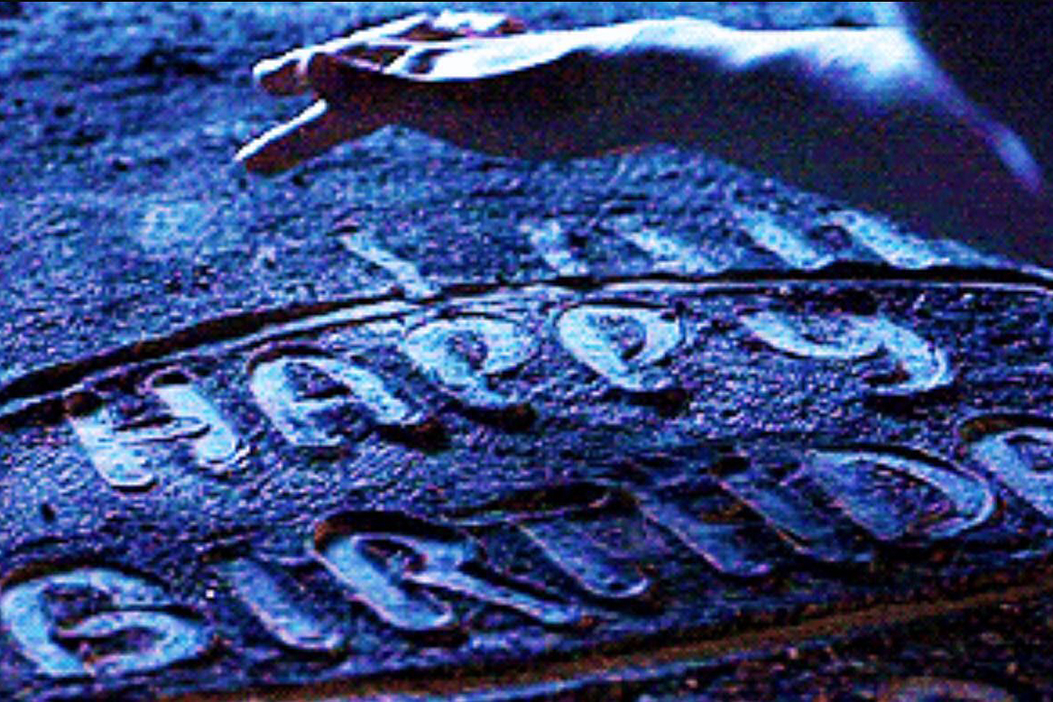 Harry Potter birthday