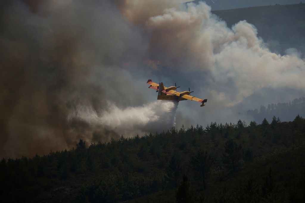 imagens do dia - Incêndio florestal em Portugal