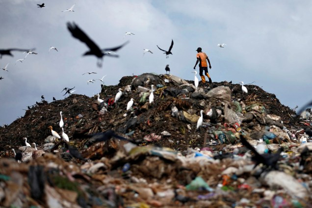 Homem coleta material para reciclagem em um lixão em Colombo, no Sri Lanka - 09/06/2017