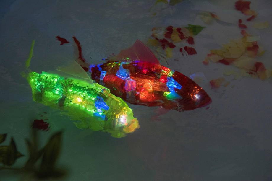 Peixes-robôs com inteligência artificial, conhecidos como MIRO (Marine Intelligent Robot), desenvolvidos pela empresa sul-coreana AIRO, nadam em uma piscina durante exposição em Tóquio, no Japão - 29/06/2017