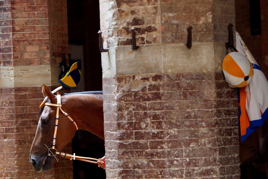 Cavalos são preparados para a corrida Palio Horse Race, em Siena, na Itália - 30/06/2017