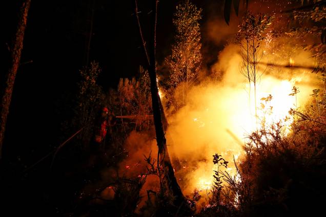 Grande incêndio florestal deixa pelo menos 62 mortos em Portugal - 18/06/2017 Grande incêndio florestal deixa pelo menos 62 mortos em Portugal - 18/06/2017