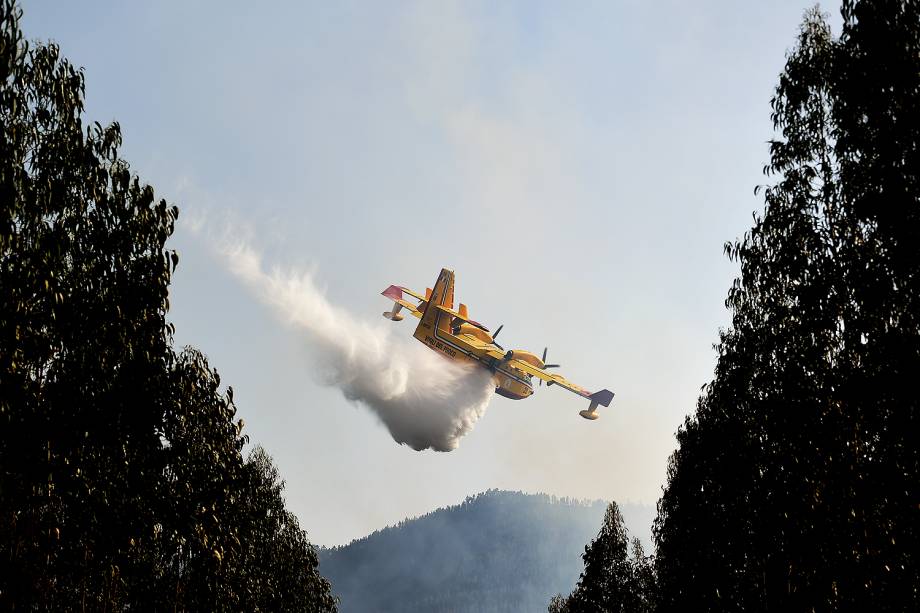 Incêndio florestal na região central de Portugal deixou pelo menos 62 mortos até agora - 20/06/2017