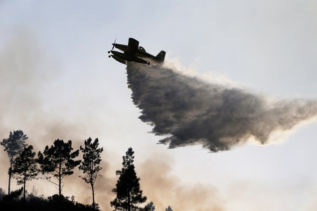 Incêndio florestal na região central de Portugal deixou pelo menos 62 mortos até agora - 20/06/2017