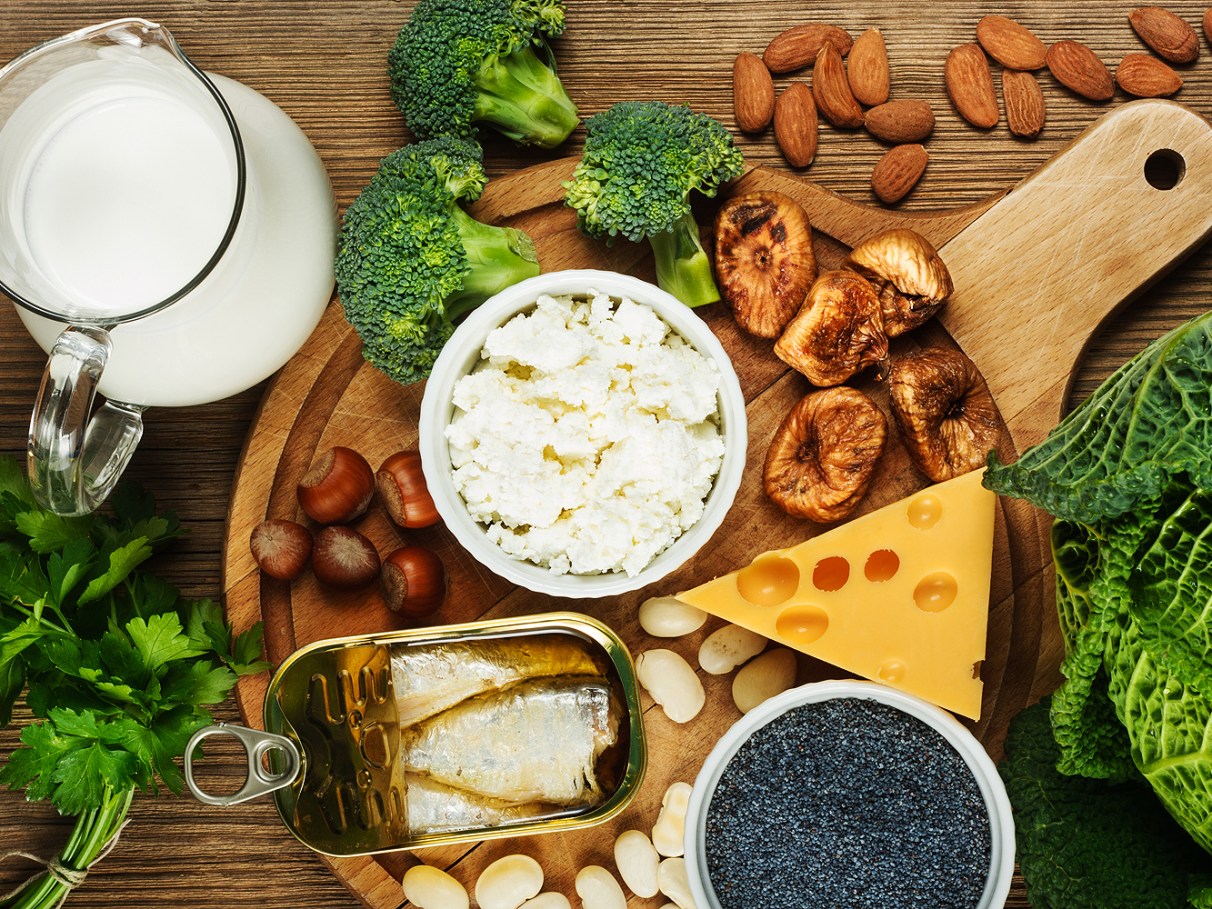 Alimentação dos São Bernardo  A melhor dieta ao longo da vida