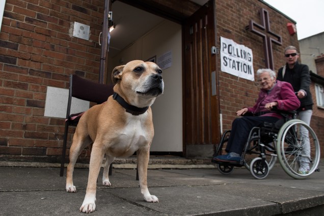 Senhora idosa chegando para a votação enquanto o cachorro aguarda do lado de fora.