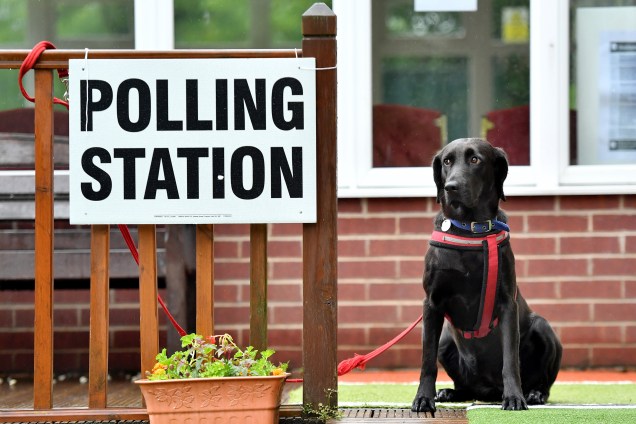 Cachorro aguarda seu dono durante a votação nas eleições gerais do Reino Unido.