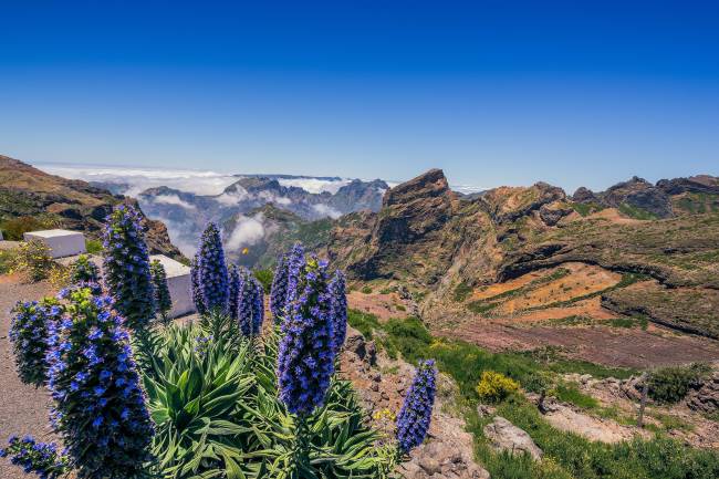 motivos para explorar a Ilha da Madeira