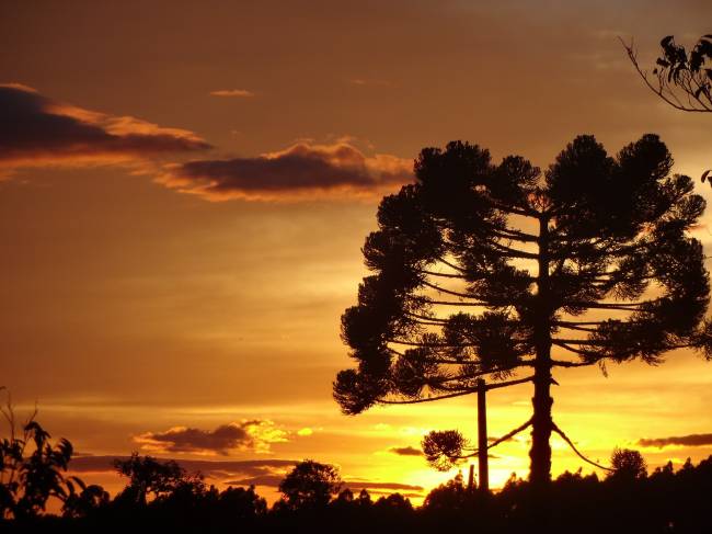 cidades brasileiras para curtir as férias de inverno