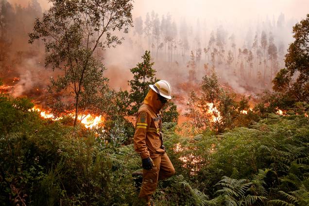 Bombeiros seguem trabalhando no combate às chamas na região central de Portugal - 19/06/2017 Bombeiros seguem trabalhando no combate às chamas na região central de Portugal - 19/06/2017
