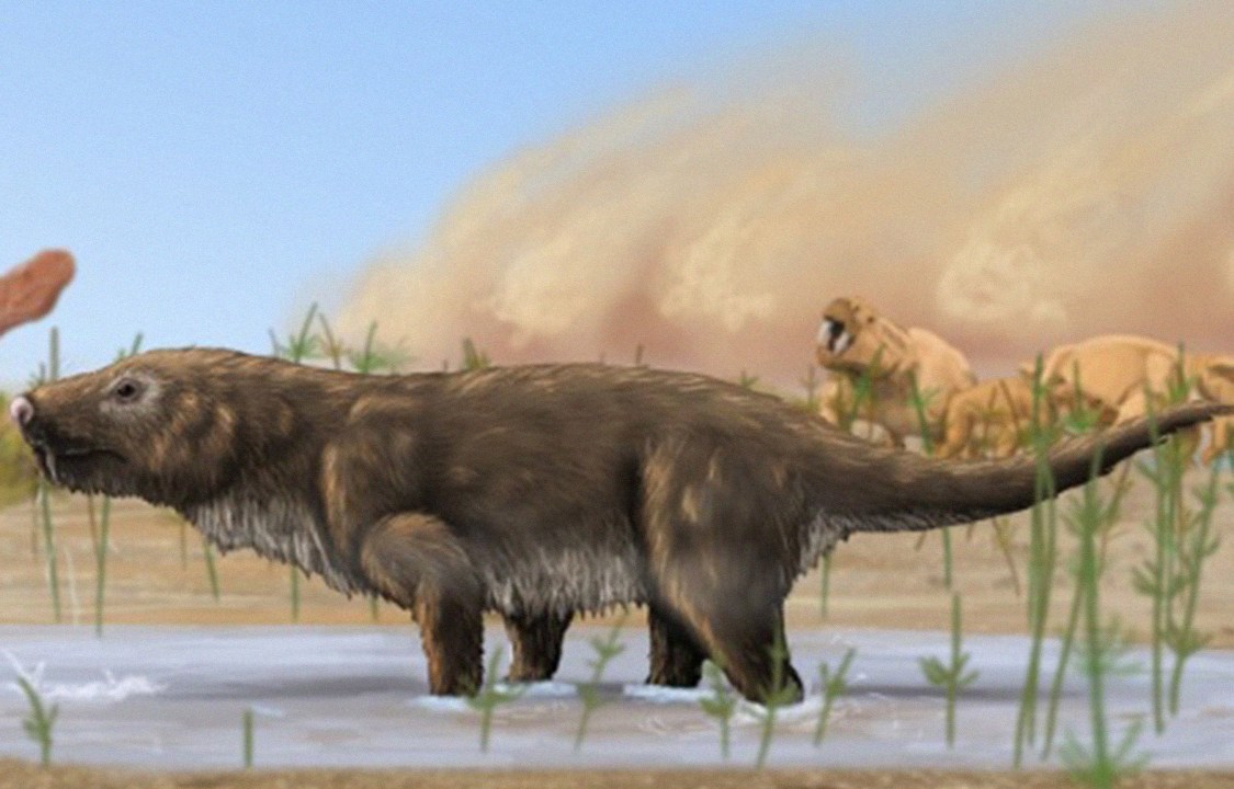 Reconstrução artística do 'Aleodon cromptoni', animal do período triássico descoberta por cientistas brasileiros.