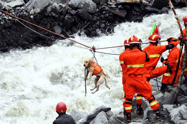 Equipes de emergência usam cachorro para ajudar nos resgates no vilarejo de Xinmo, no sudoeste da China. Um deslizamento de terra deixou 10 mortos e 100 pessoas estão desaparecidas - 25/06/2017