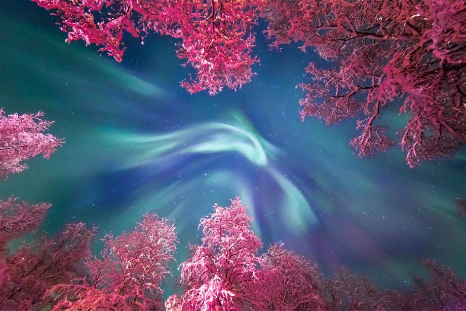 Aurora boreal fotografada durante uma excursão de astrofotografia na região de Murmansk, no norte da Rússia. As luzes aparecem entre as copas congeladas das árvores. Com a iluminação da rua, as folhas ganham um tom vivo de rosa.