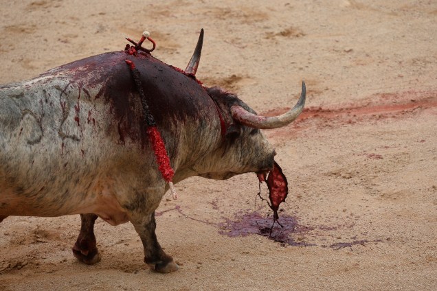 Um touro vomita sangue durante uma tourada no festival de São Firmino, em Pamplona na Espanha