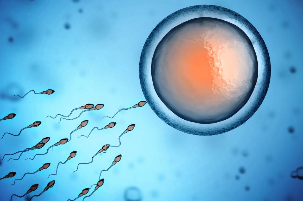 Ultraprocessados podem reduzir produção de testosterona e eficiência de espermatozoides, diz pesquisa