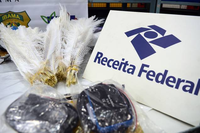 Espécimes da fauna e flora apreendidos na Operação Hermes feita pela Receita Federal em encomendas internacionais enviadas via Correios - 06/07/2017 Espécimes da fauna e flora apreendidos na Operação Hermes feita pela Receita Federal em encomendas internacionais enviadas via Correios - 06/07/2017