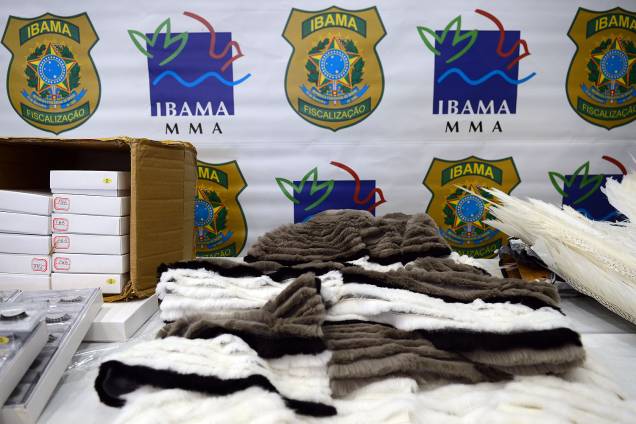 Os materiais apreendidos são amostras de Pau-Brasil, em forma de arcos de violinos prontos e madeira serrada não acabadas; besouros, mariposas e borboletas mortos da fauna silvestre exótica; roupas confeccionadas com peles de animais, tais como guaxinim e raposa, além de chifres de animais - 06/07/2017 Os materiais apreendidos são amostras de Pau-Brasil, em forma de arcos de violinos prontos e madeira serrada não acabadas; besouros, mariposas e borboletas mortos da fauna silvestre exótica; roupas confeccionadas com peles de animais, tais como guaxinim e raposa, além de chifres de animais - 06/07/2017