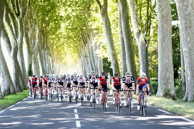O pelotão passa por um campo de árvores durante o 14º estágio do Le Tour de France 2017, um percurso de 181 km de Blagnac a Rodez, em 15 de julho de 2017, Rodez na França