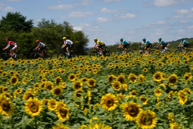 Competidores atravessam um campo de girassóis durante a segunda etapa da 104ª edição do Tour de Franceentre Mondorf- Les-Bains e Vittel, na França - 04/07/2017