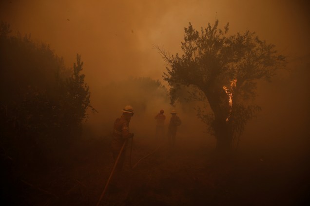Bombeiros trabalham para apagar um incêndio florestal na vila de Carvoeiro, perto de Castelo Branco, Portugal - 25/07/2017