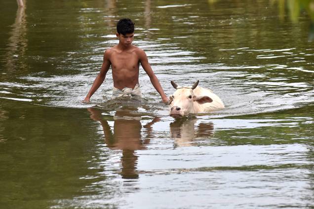 Aldeão indiano caminha ao lado de um boi por rua alagada em Morigaon, após forte tempestade inundar a região, na Índia - 12/07/2017 Aldeão indiano caminha ao lado de um boi por rua alagada em Morigaon, após forte tempestade inundar a região, na Índia - 12/07/2017