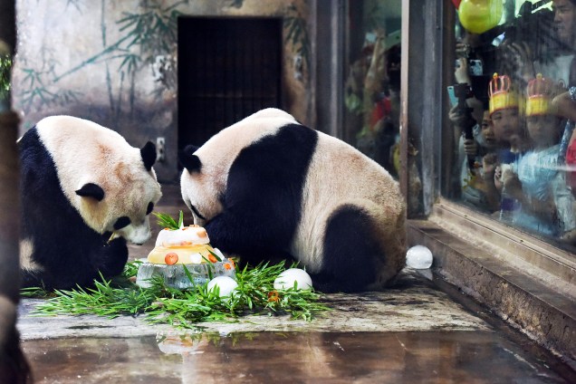 Pandas gigantes ganham um bolo de aniversário feito de gelo e frutas em um zoológico de Hangzhou, província de Zhejiang, na China - 14/07/2017