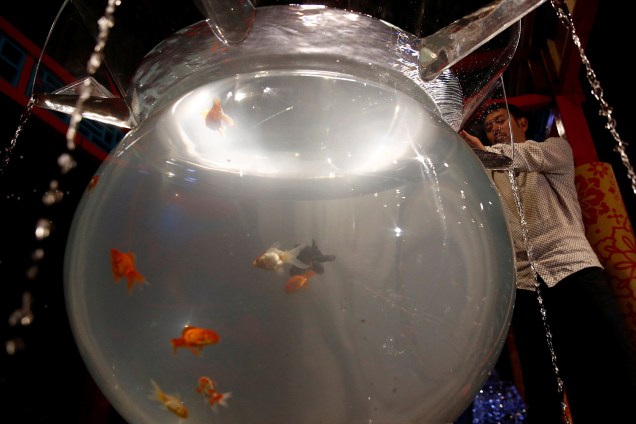 Instalação produzido pelo artista Hidetomo Kimura com peixes-dourados em aquários iluminados no aquário de Tóquio, no Japão.