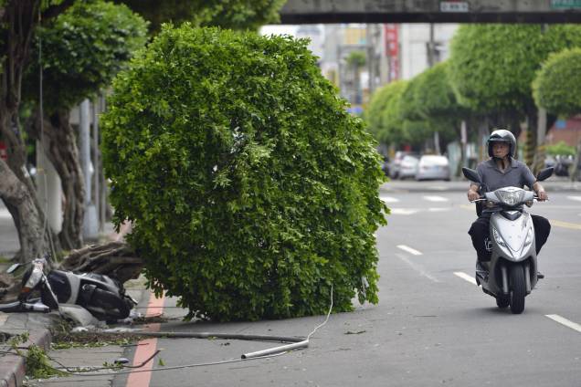 Motociclista passa por uma árvore caída em Nova Taipé depois da passagem do Tufão Nesat em Taiwan - 30/07/2017 Motociclista passa por uma árvore caída em Nova Taipé depois da passagem do Tufão Nesat em Taiwan - 30/07/2017