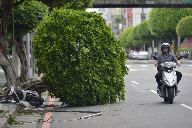 Motociclista passa por uma árvore caída em Nova Taipé depois da passagem do Tufão Nesat em Taiwan - 30/07/2017