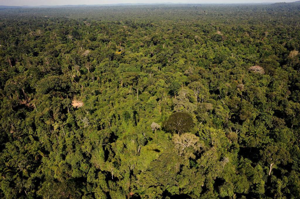 Governo recua e suspende decreto que extingue reserva na Amazônia