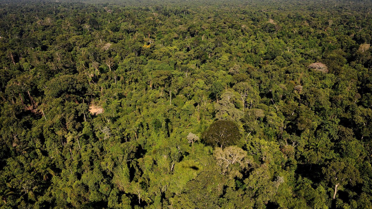 Governo volta a autorizar a exploração mineral em área protegida da Amazônia