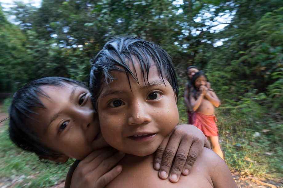 SciELO - Brazil - As vespas que caçam com seus dentes: Artefatos  multiespécies, ritual e relações entre humanos e não humanos entre os  Karitiana (Rondônia) As vespas que caçam com seus dentes