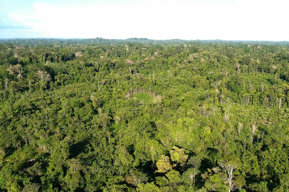 Decreto assinado pelo presidente Michel Temer no último dia 23 determina a extinção da Reserva Nacional de Cobre e Seus Associados, que abrange uma área de cerca de 47.000 quilômetros quadrados entre o Amapá e o Pará. Criticado nas redes sociais, o peemedebista editou um novo decreto, com explicações sobre a exploração mineral na área; na última sexta-feira o Ministério das Minas e Energia suspendeu os efeitos da medida por 120 dias, anunciando um "amplo debate com a sociedade"