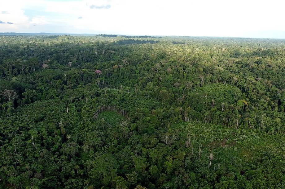 Decreto assinado pelo presidente Michel Temer no último dia 23 determina a extinção da Reserva Nacional de Cobre e Seus Associados, que abrange uma área de cerca de 47.000 quilômetros quadrados entre o Amapá e o Pará. Criticado nas redes sociais, o peemedebista editou um novo decreto, com explicações sobre a exploração mineral na área; na última sexta-feira o Ministério das Minas e Energia suspendeu os efeitos da medida por 120 dias, anunciando um "amplo debate com a sociedade"