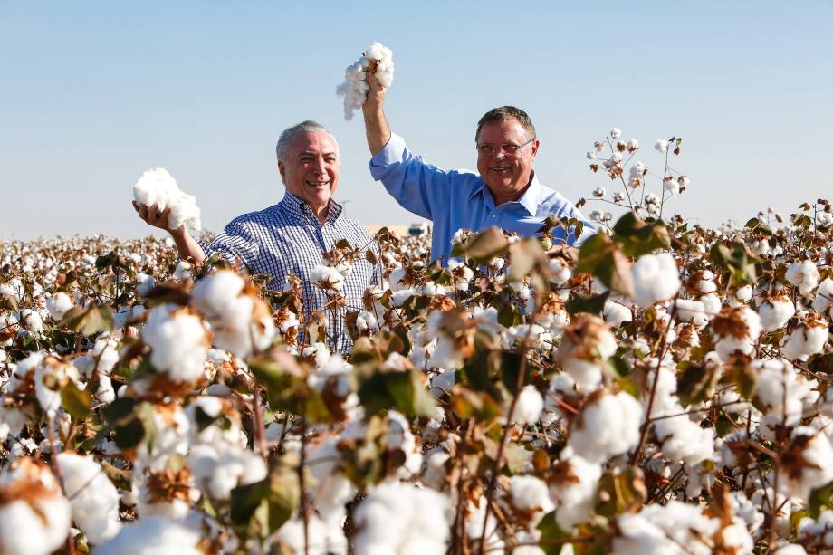Presidente Michel Temer acompanhado do ministro da Agricultura, Pecuária e Abastecimento, Blairo Maggi, durante a abertura da colheita do algodão em Lucas do Rio Verde (MS) - 11/08/2017