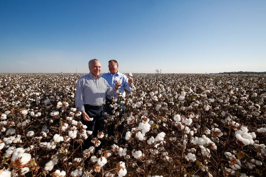 Presidente Michel Temer acompanhado do ministro da Agricultura, Pecuária e Abastecimento, Blairo Maggi, durante a abertura da colheita do algodão em Lucas do Rio Verde (MS) - 11/08/2017