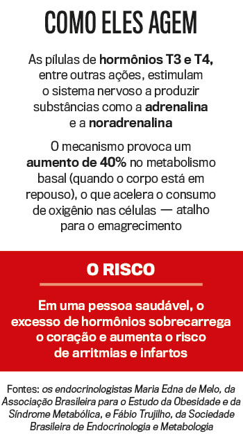 como-hormonios-t3-t4-agem