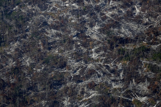 Vista aérea mostra desmatamento na Amazônia durante a 'Operação Onda Verde'