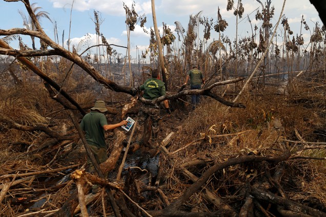 Agentes do Ibama inspecionam local durante a 'Operação Onda Verde' contra o desmatamento da Amazônia