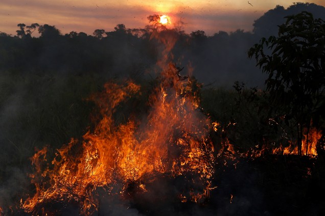 Chamas queimam floresta em Apuí, no Amazonas