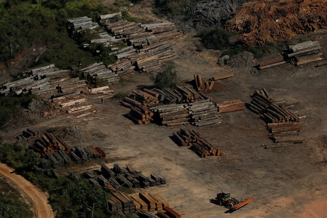 Pilhas de madeiras são apreendidas durante a 'Operação Onda Verde' contra o desmatamento da Amazônia