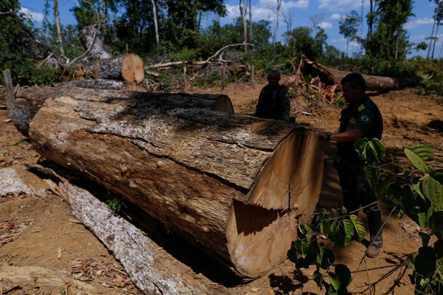 Agentes do Ibama desmontam um acampamento ilegal, durante 'Operação Onda Verde' contra desmatamento em Apuí, no Amazonas