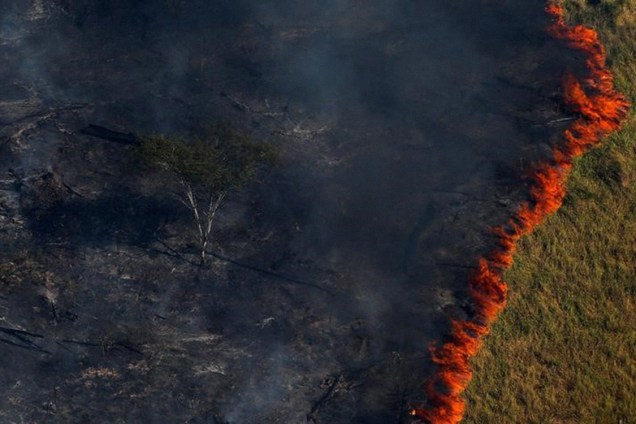 Chamas queimam floresta em Apuí, no Amazonas