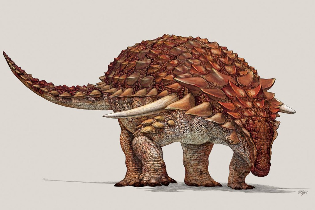Dinossauro armadura