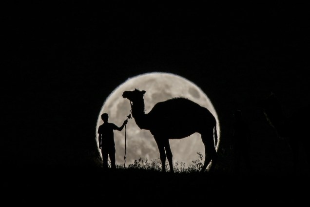 Homem é fotografado com seu camelo durante o eclipse parcial lunar em Van, na Turquia