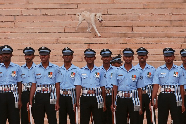 Um cachorro passa por trás dos soldados em formação durante a cerimônia de recepção do primeiro-ministro do Nepal, Sher Bahadur Deuba, no palácio presidencial Rashtrapati Bhavan, em Nova Deli, na Índia - 24/08/2017