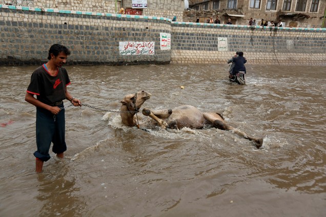 Homem aproveita água de enchentes para dar banho em seu camelo, após fortes chuvas atingirem a cidade de Saana, no Iêmen - 09/08/2017