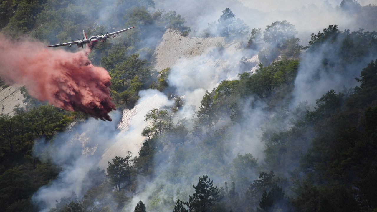 Imagens do dia - Incêndio florestal na França